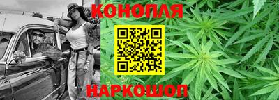 гидра Камышлов