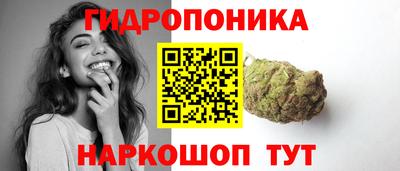 гидра Камышлов