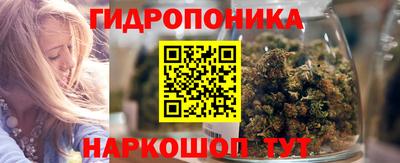 гидра Камышлов