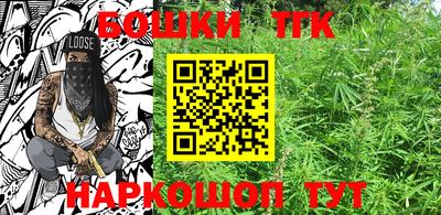 гидра Камышлов
